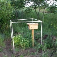 Pepiniera de plante de fructe de padure